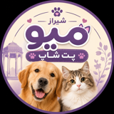 شیرازمیو