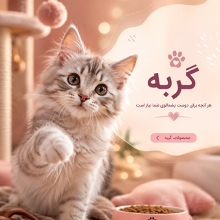 گربه